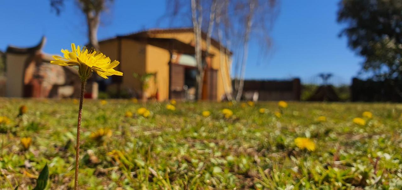 Masia Can Bachs Sant Pere de Vilamajor Eksteriør bilde